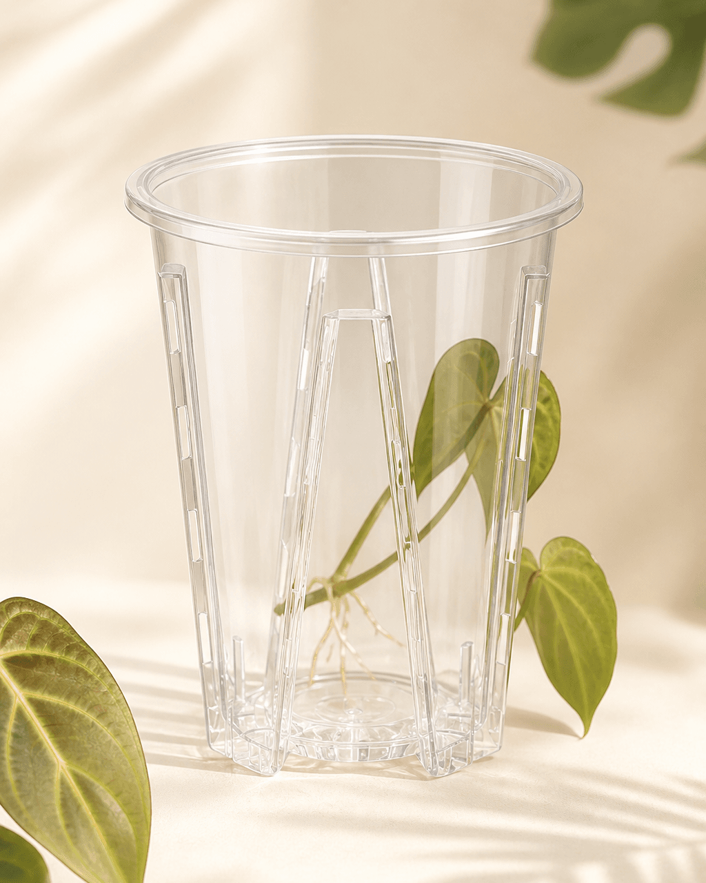 Töpfe & Aroid Pots